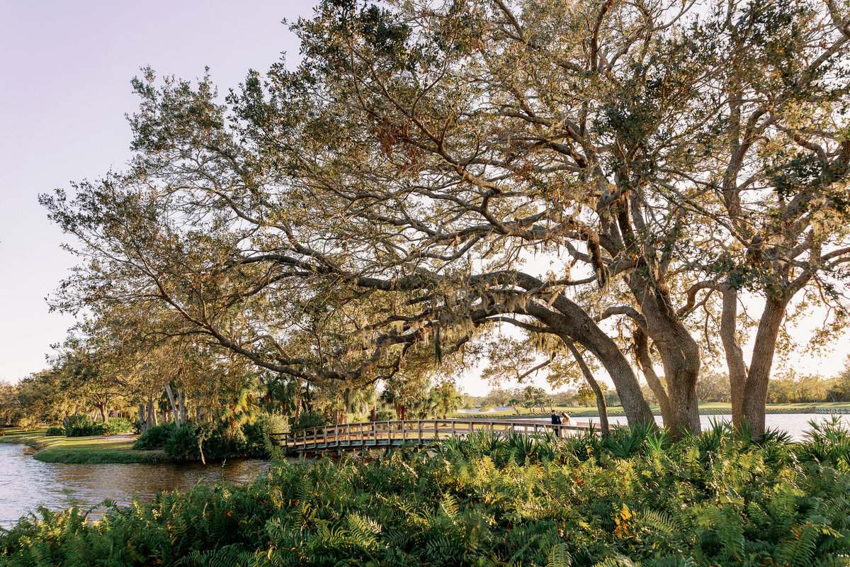 brittany-pannebaker-tampa-florida-destination-wedding-photographer-portfolio50