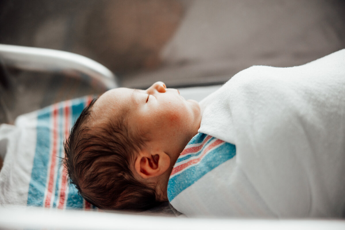 fresh 48 baby photography huntsville