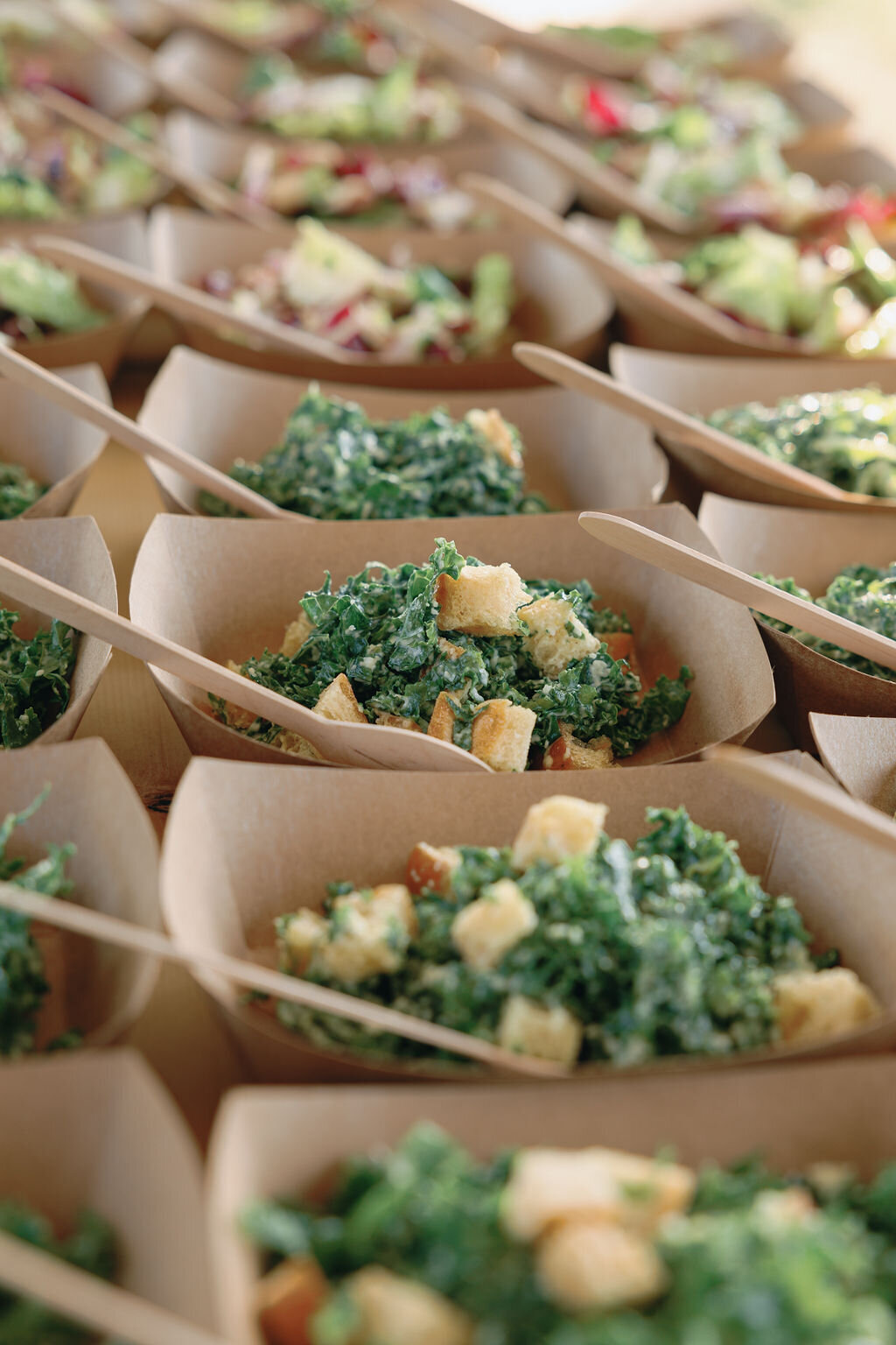 Special-Event-Planner-Bluegrass-Music-Festival-Virginia-0338