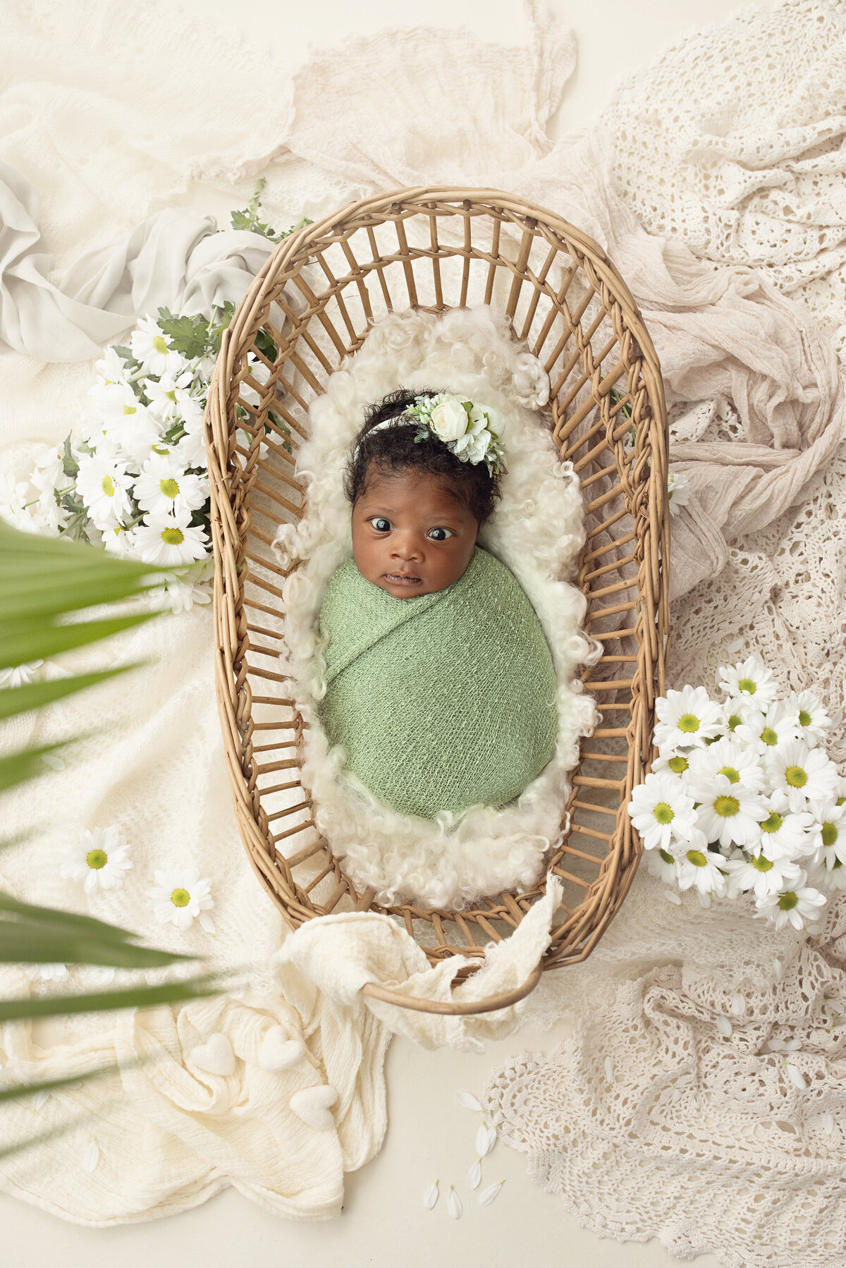 A newborn girl in a green swaddle sleeps in a wicker basket on a lace and fabric covered floor with white daisies