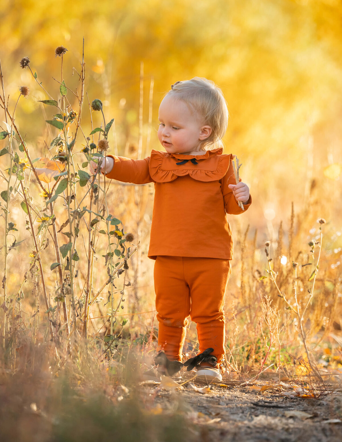 denver-child-photographer-5