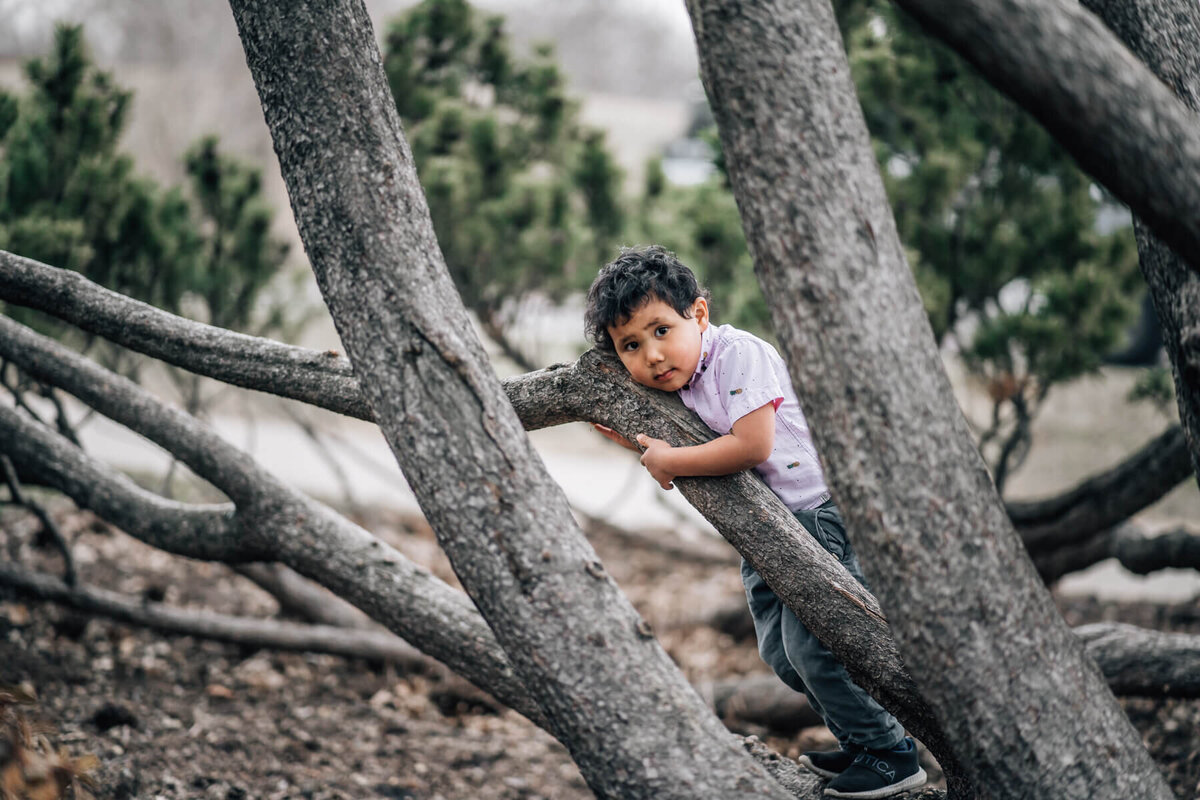 A young boy climbs a tree and looks toward the camera at Lyndale Park Gardens in Minneapolis.