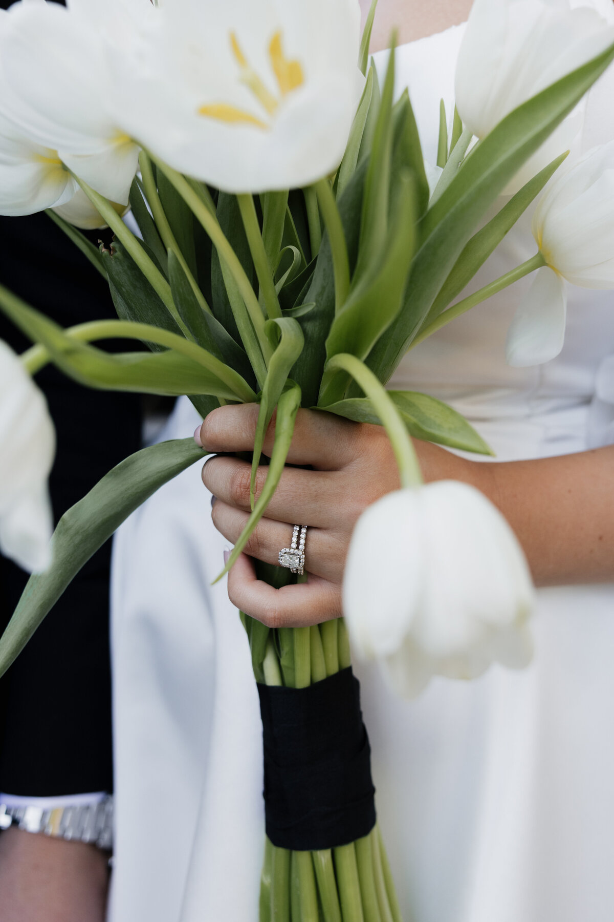 benedictsneak peeks-47