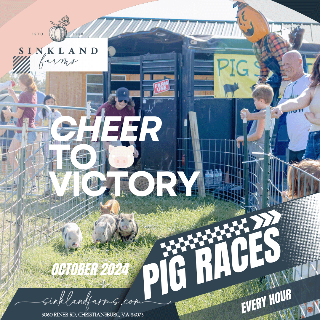 2024Sinkland-Farms_Pumpkin-Festival_Creative-Designs-by-Renee_pig-races