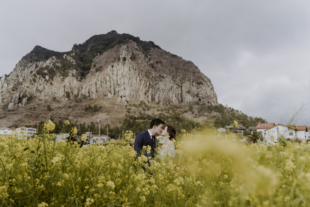 the couple kissing in the yellow canola fields in sanbangsan jeju island