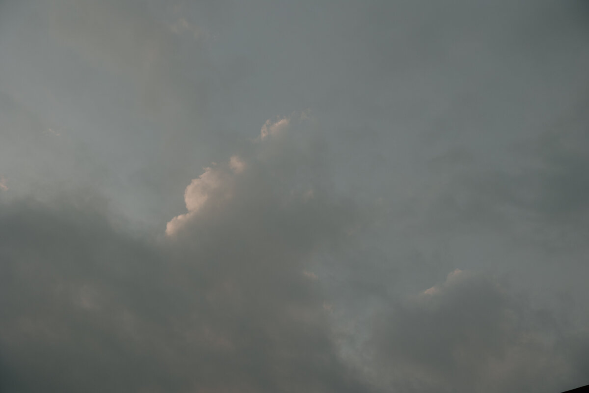 FQ8A1286