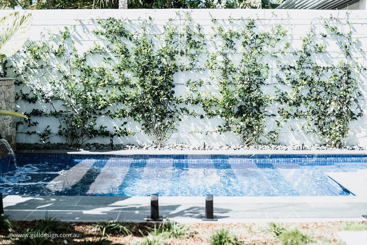 49-noosa heads NF1_3807