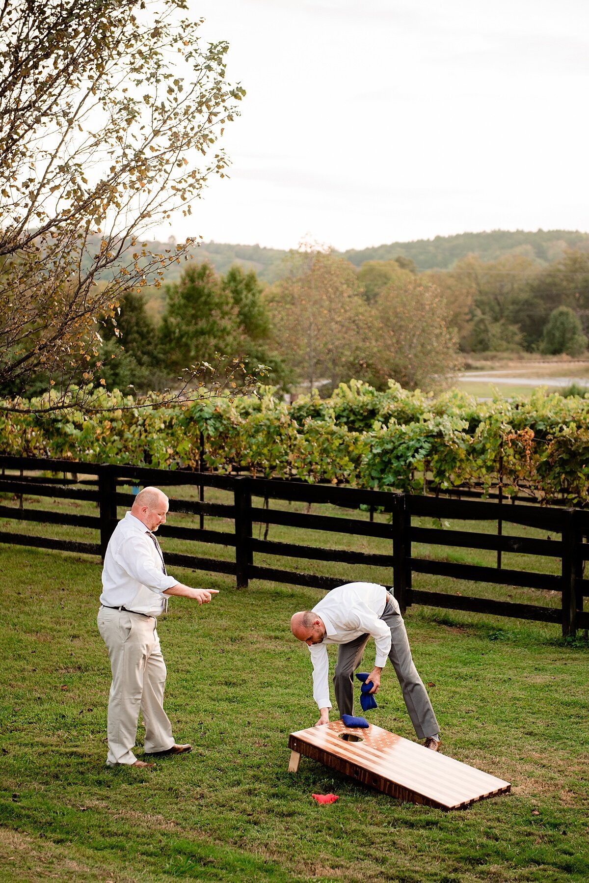 Two wedding guests wearing khakis and white shirts playing cornhole at an Arrington Vineyard wedding reception. They are standing next to a horse fence where the grape vines grow in the sunshine.