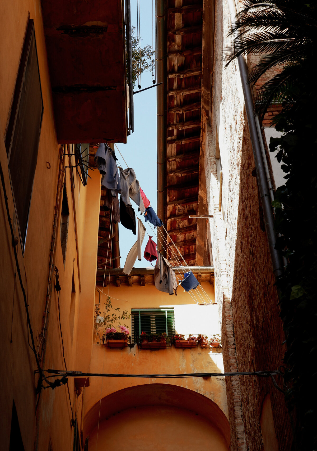 Pisa