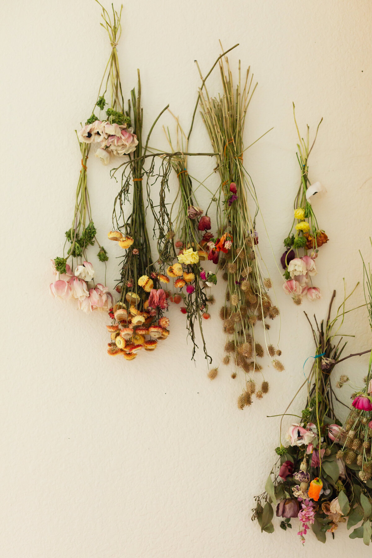 LAP_WildWhimsy_0062
