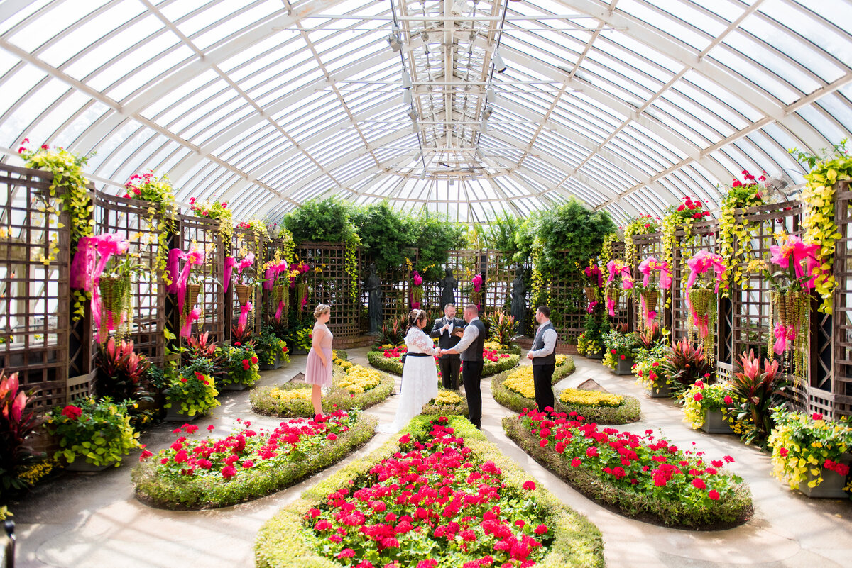 phipps conservatory wedding ceremony in broderie room