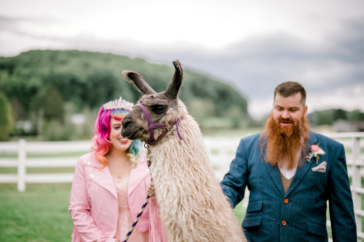 backyard-wedding-32