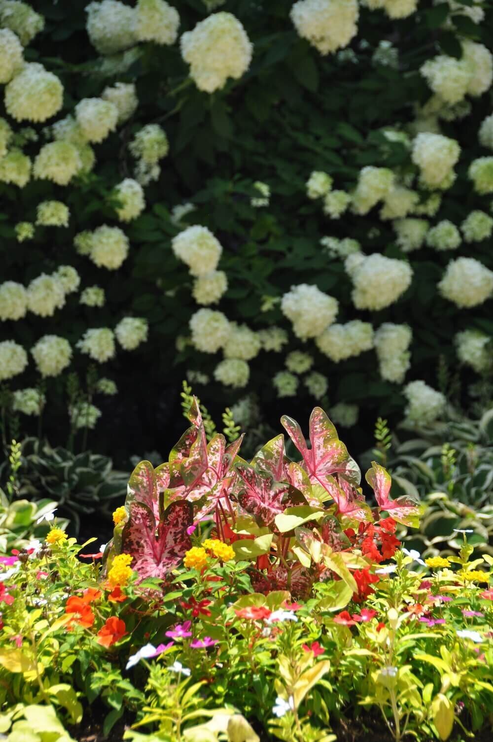 Residential landscape company project in Kansas City