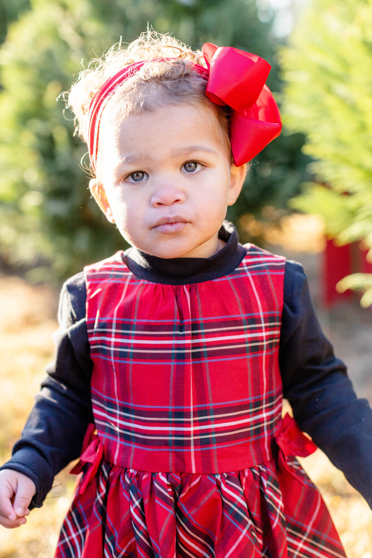 ChristmasTreeFarmMinisGreenvilleSCJennyMacyPhotography-Megan21