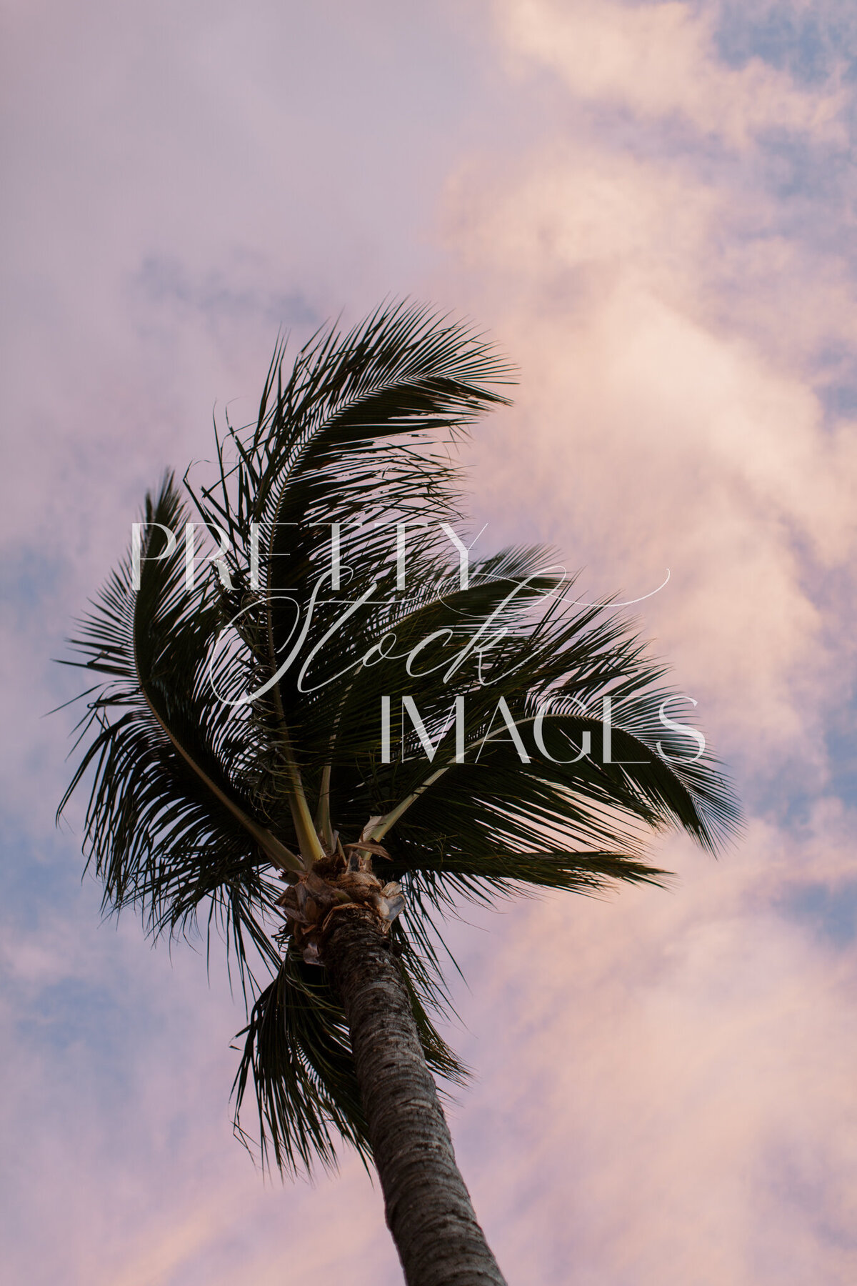 Pretty Stock Images - Hawaii-35