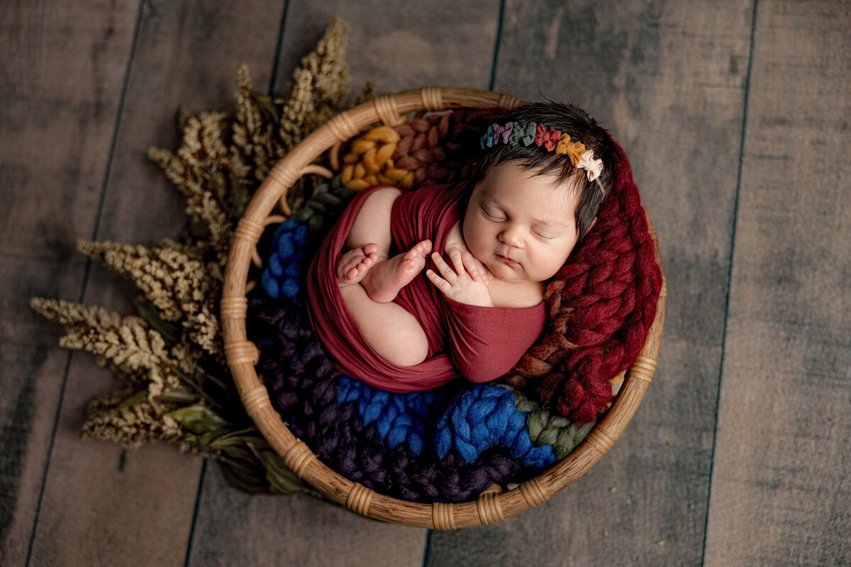 newborn photographer in michigan, michigan newborn photographer, newborn photographer near charlevoix, photographer near petoskey, baby photographer near traverse city, newborn photographer near me_SadieNewborn_9131