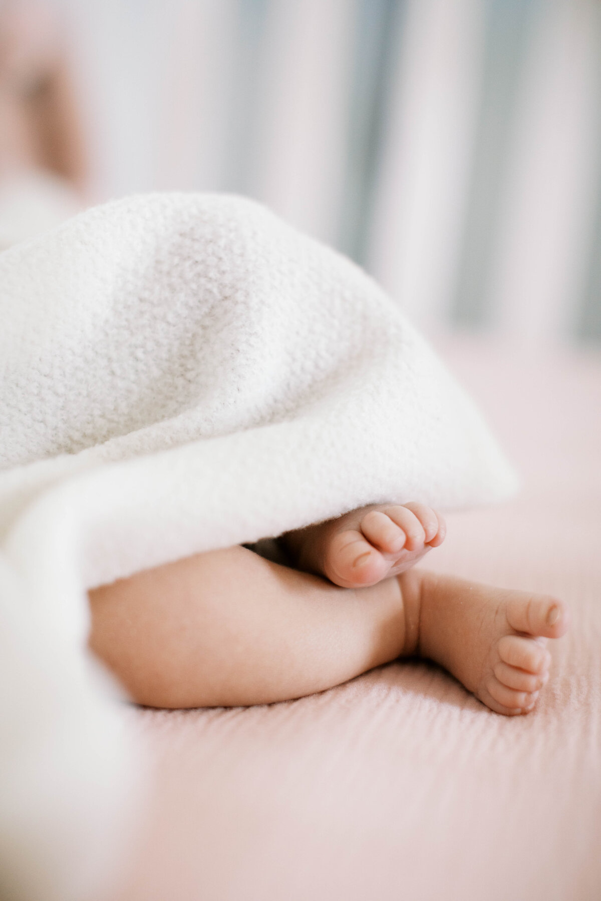 winston-salem-newborn-photographer16