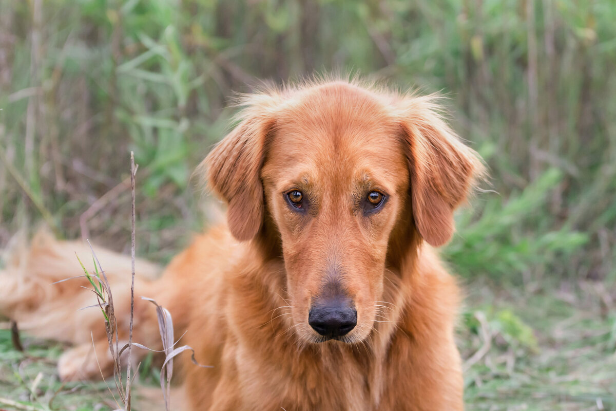 Baxter-3