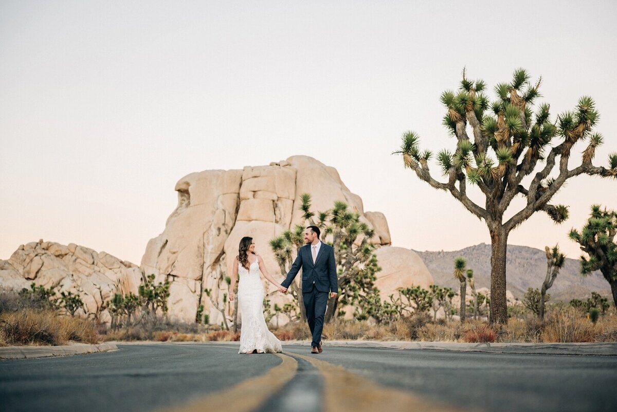Hidden Valley Joshua Tree Elopement