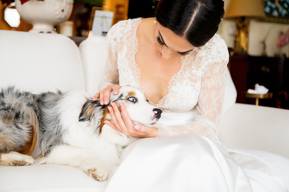bride and her beloved dog pet photo
