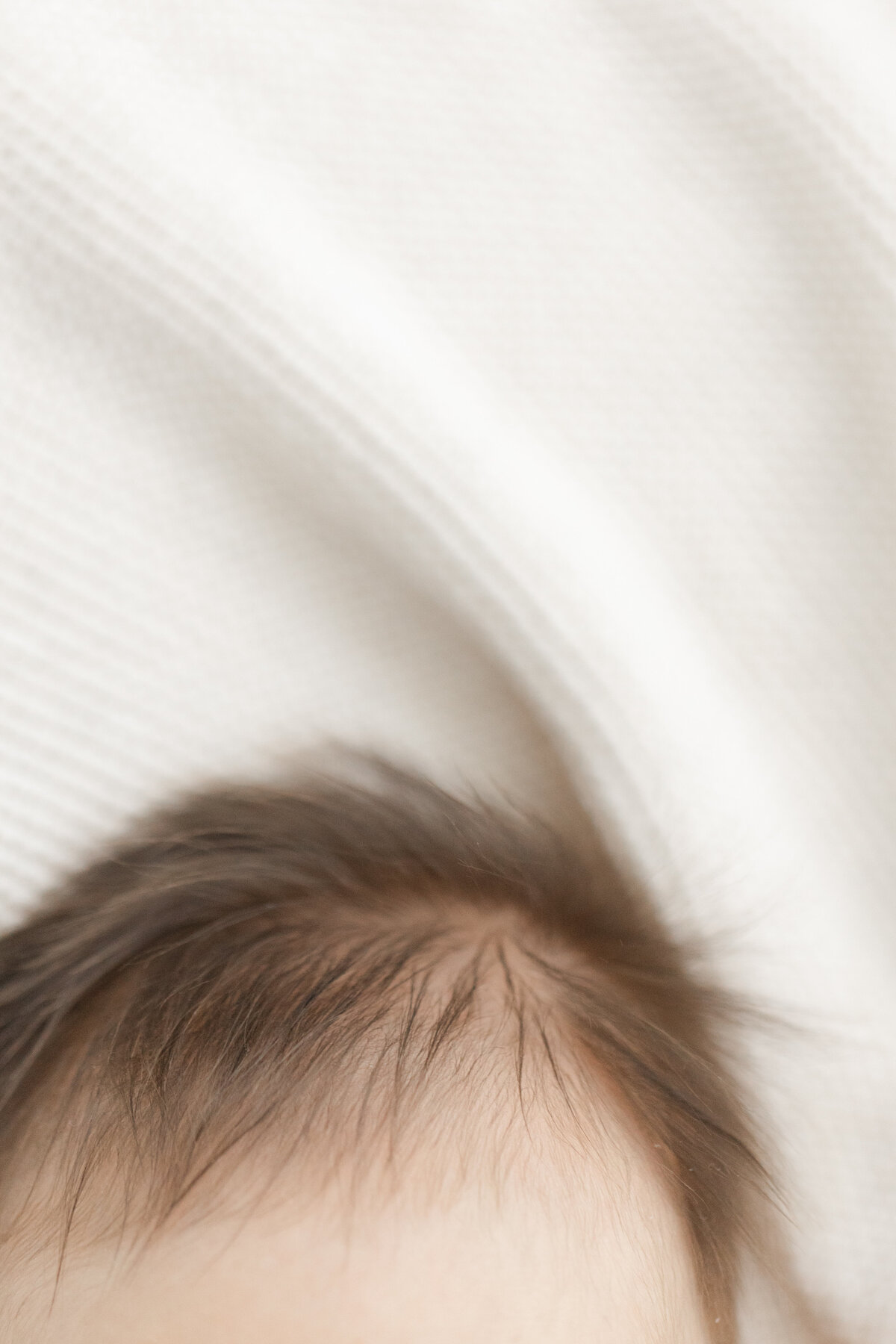3 month baby milestone portrait session at Philadelphia photography studio - 4