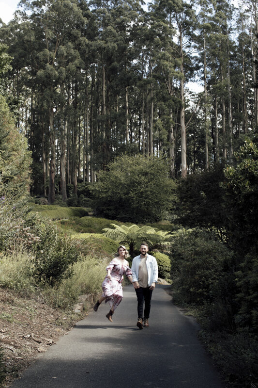 Liminal-Wonderland-Surprise-proposal-Mt-Dandenong012