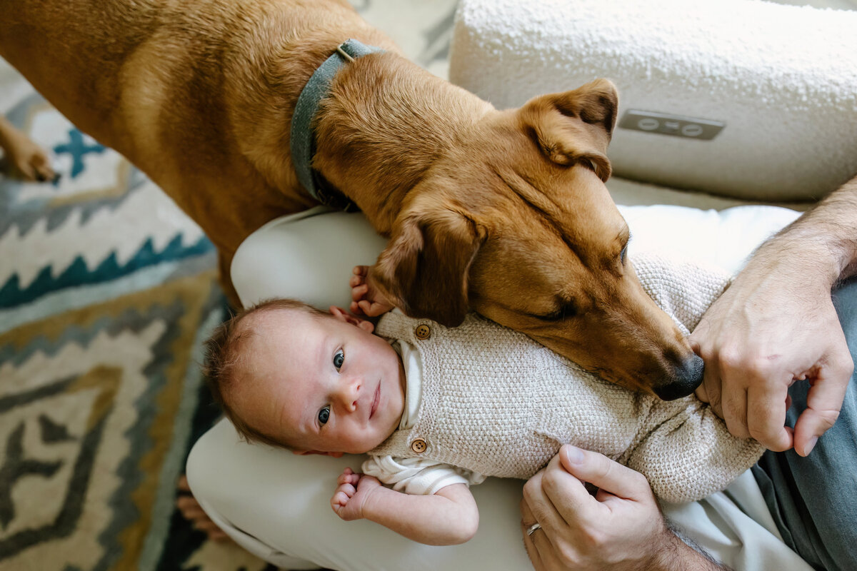 Austin-Lifestyle-Photographer-WehrNewbornStory-30