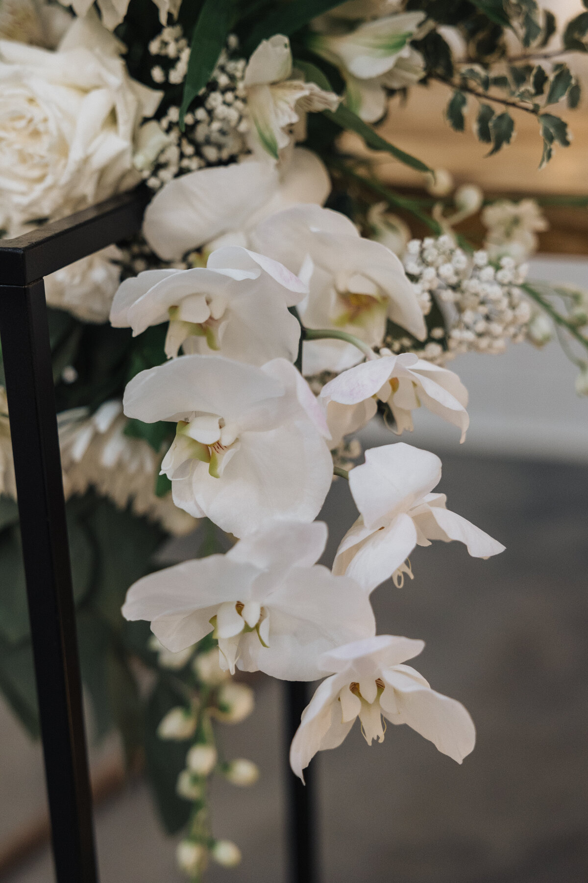Hudson-Springs-Oklahoma-Wedding-Leah-Turney-Photography-1232