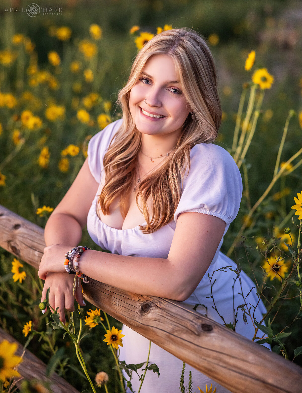 Yellow Wildflowers Senior Photography in Parker Colorado