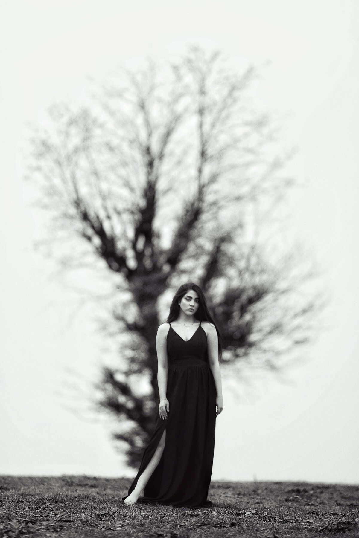 shahin-khalaji-bgssxXcu7q4-unsplash