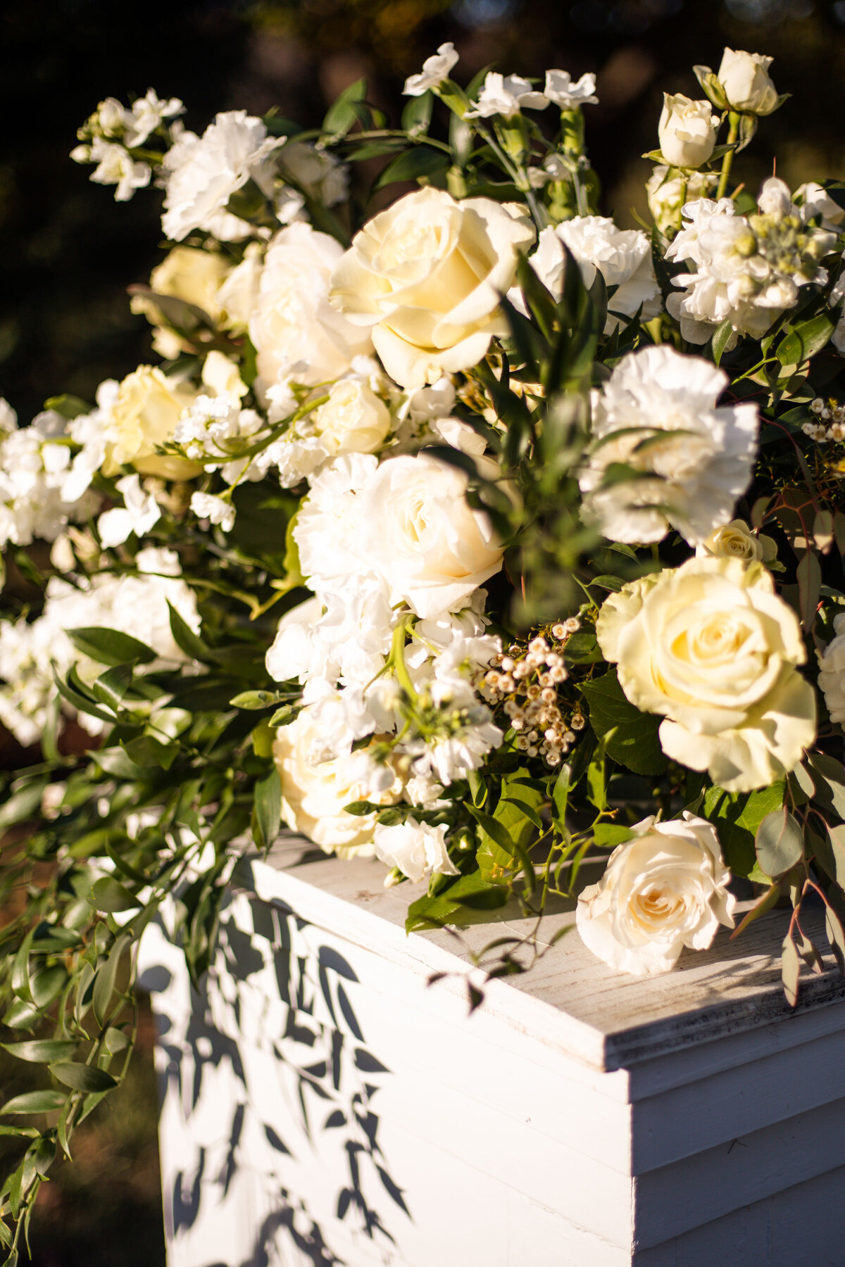 whitehall estate wedding photographer in northern virginia