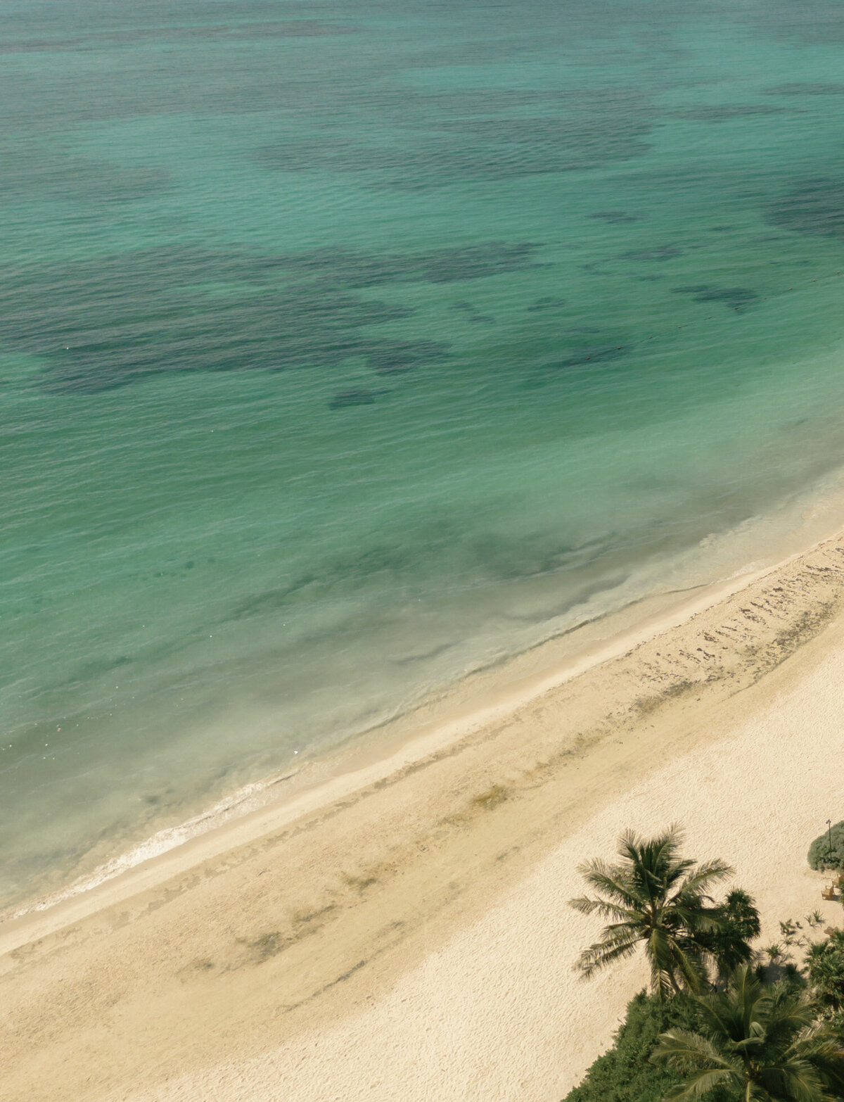 overhead drone photo of Caribbean sea and palm tree, Paradisus playa del Carmen