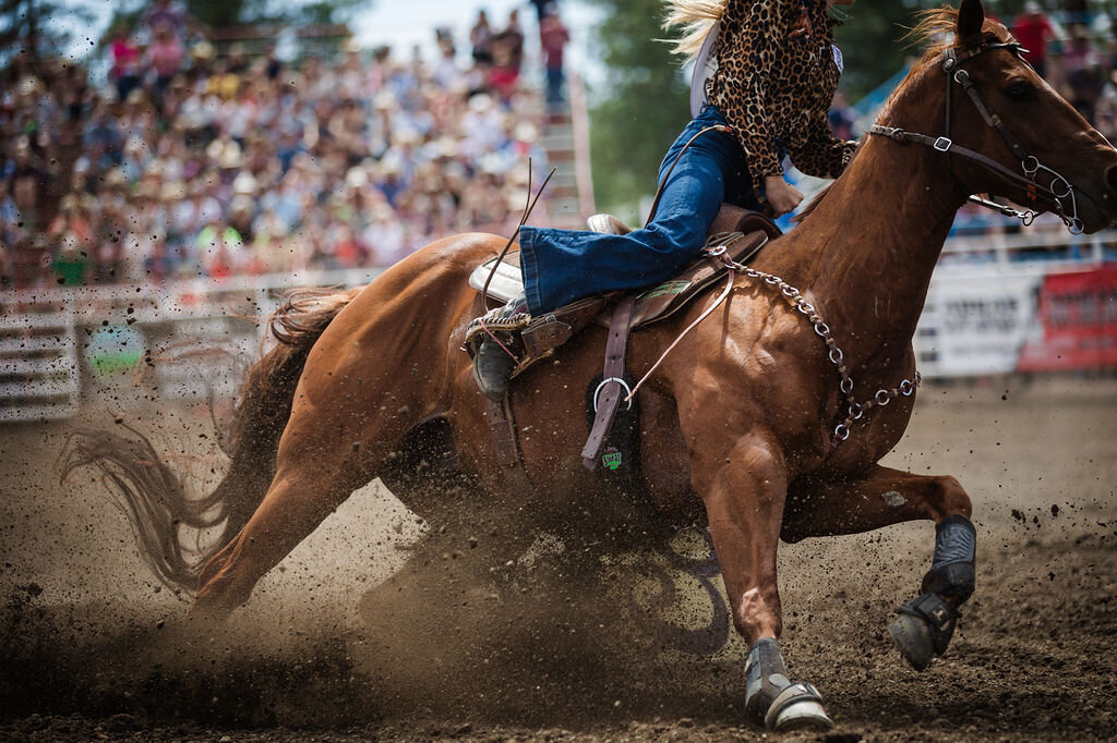 20240608_kya-photography-equestrian-photographer_0027