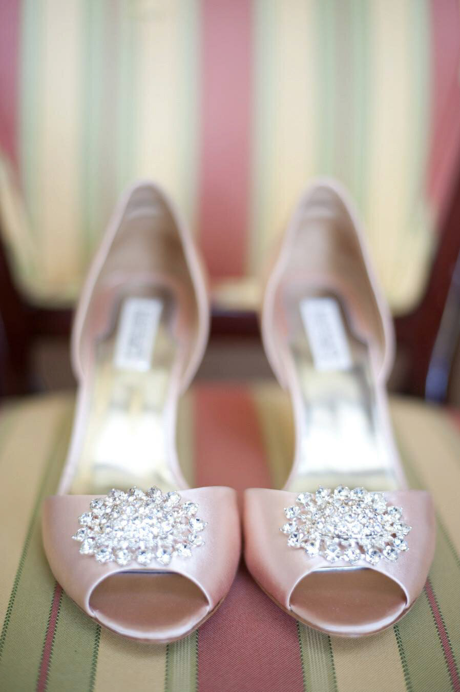 979860_609986702358453_720517763_o