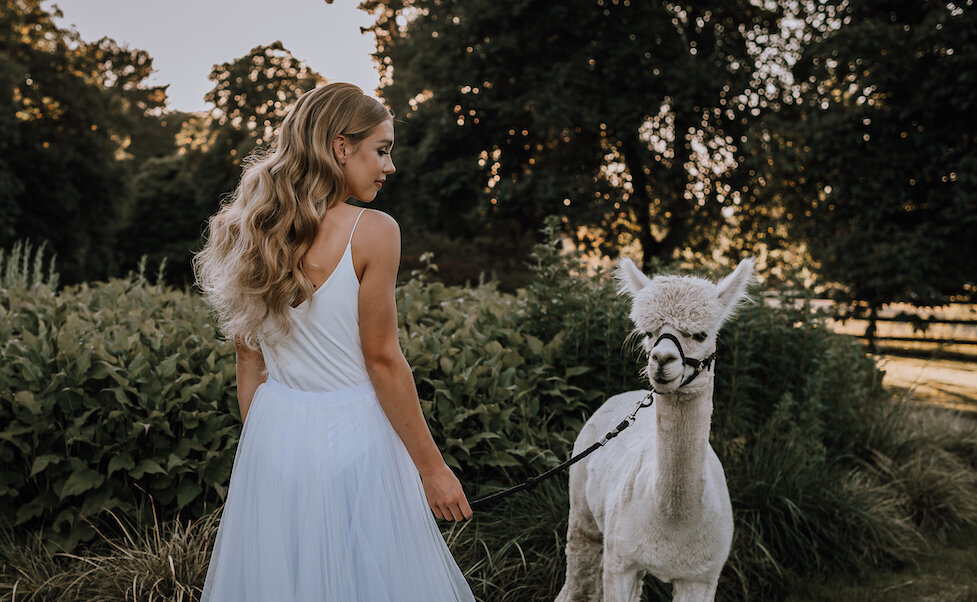 women leading alpaca