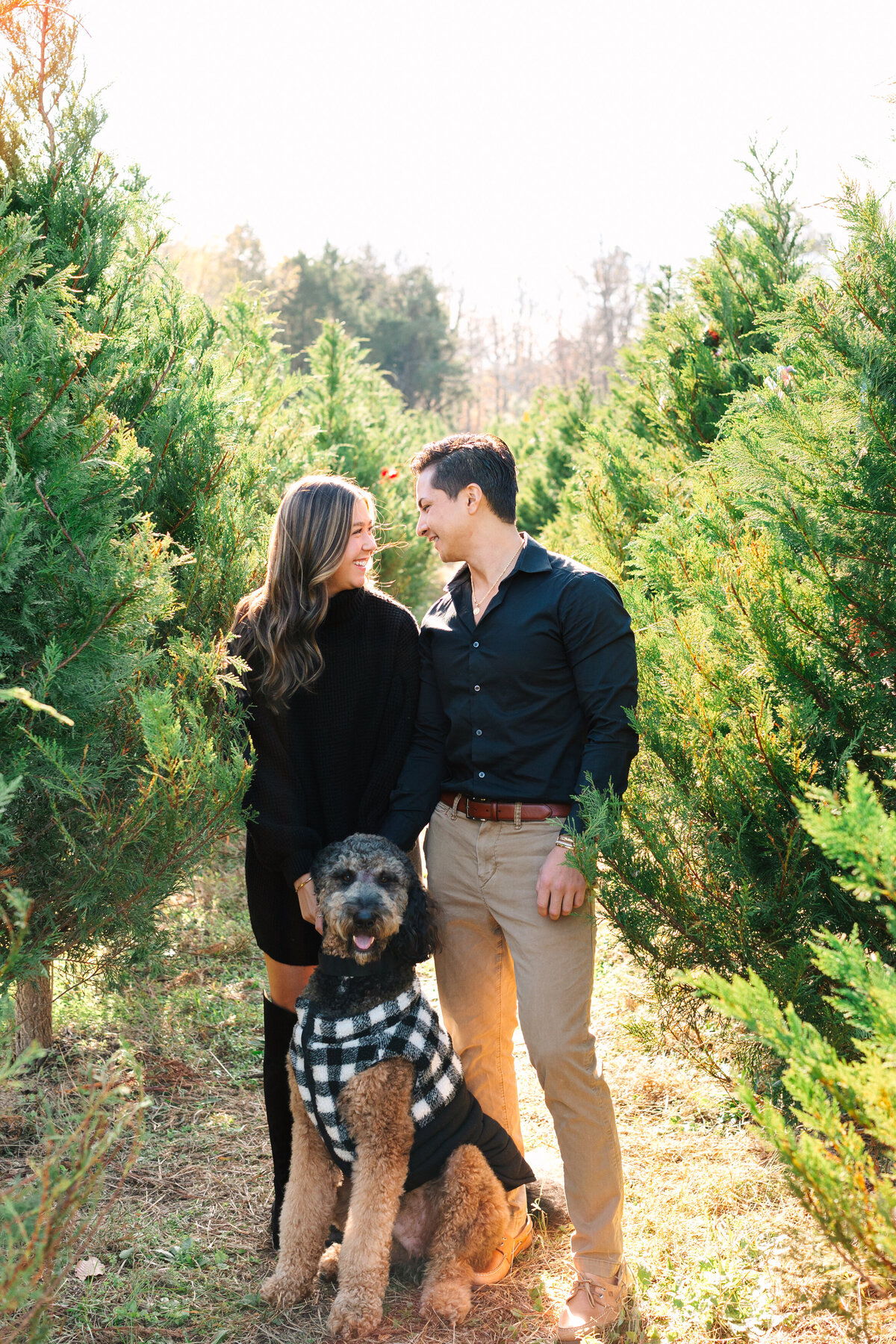 ChristmasTreeFarmMinis_RachaelReidPhotography_