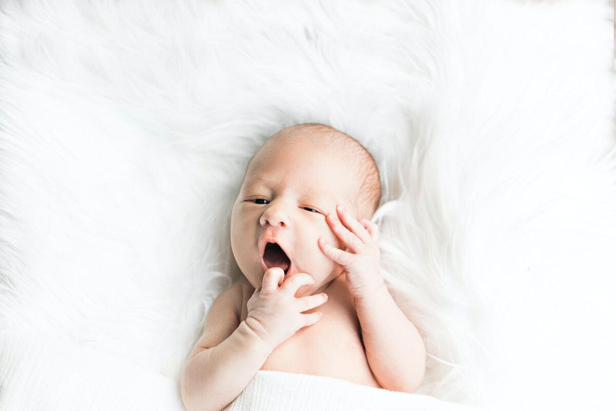 irina-murza-oby71qjeNJI-unsplash