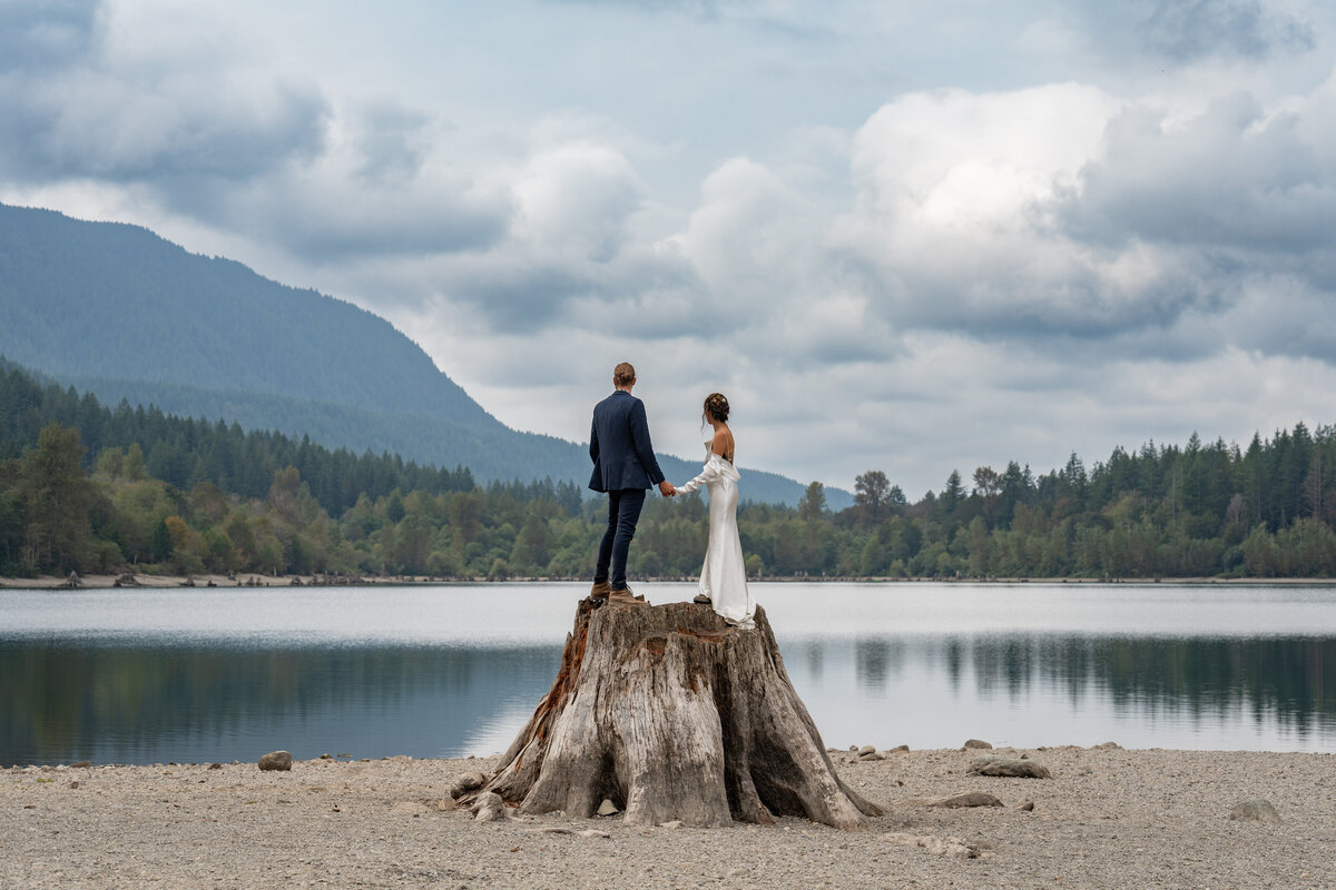 A couple holding hands while standing on a massive tree trunk