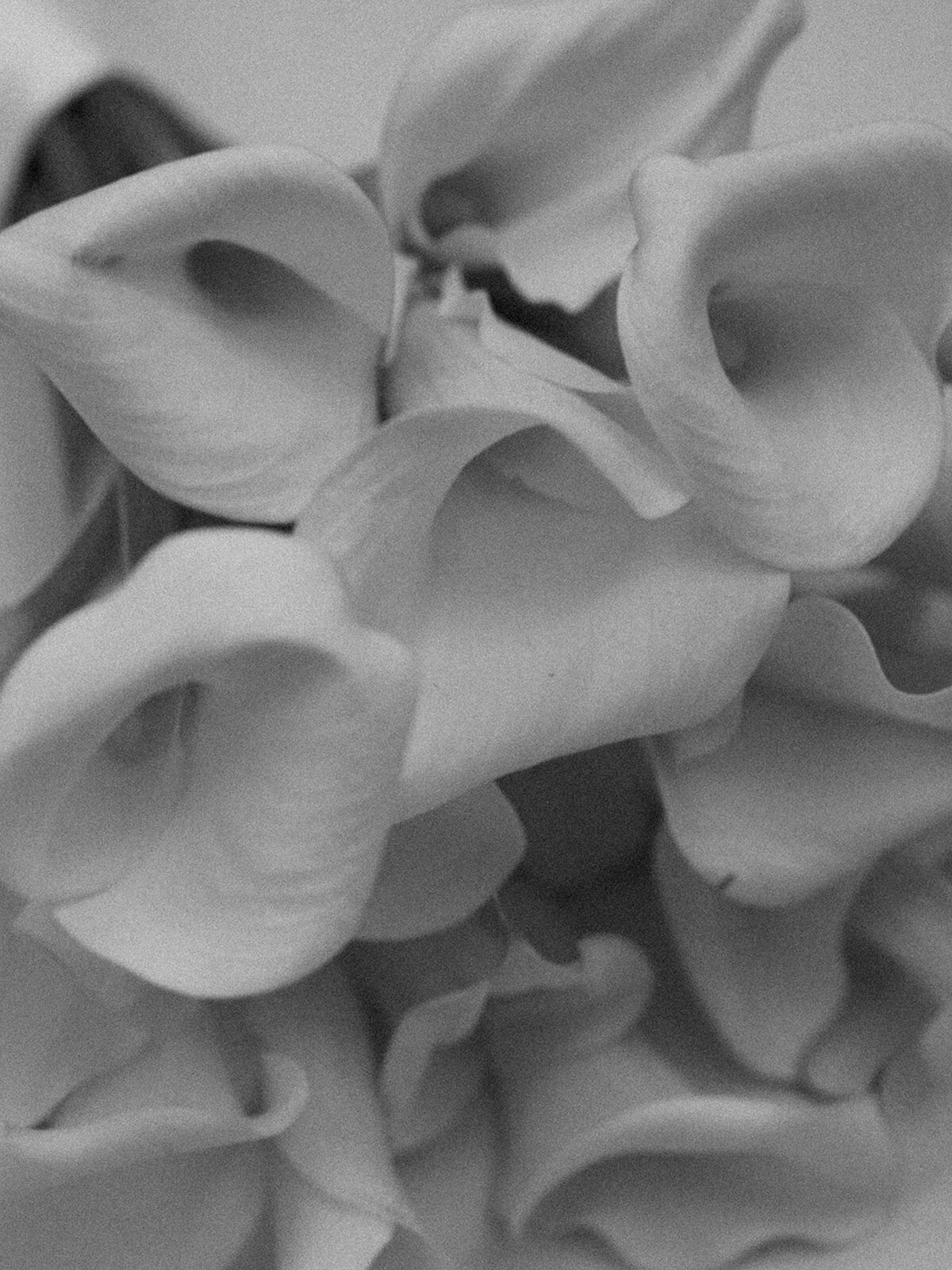 DSC00395