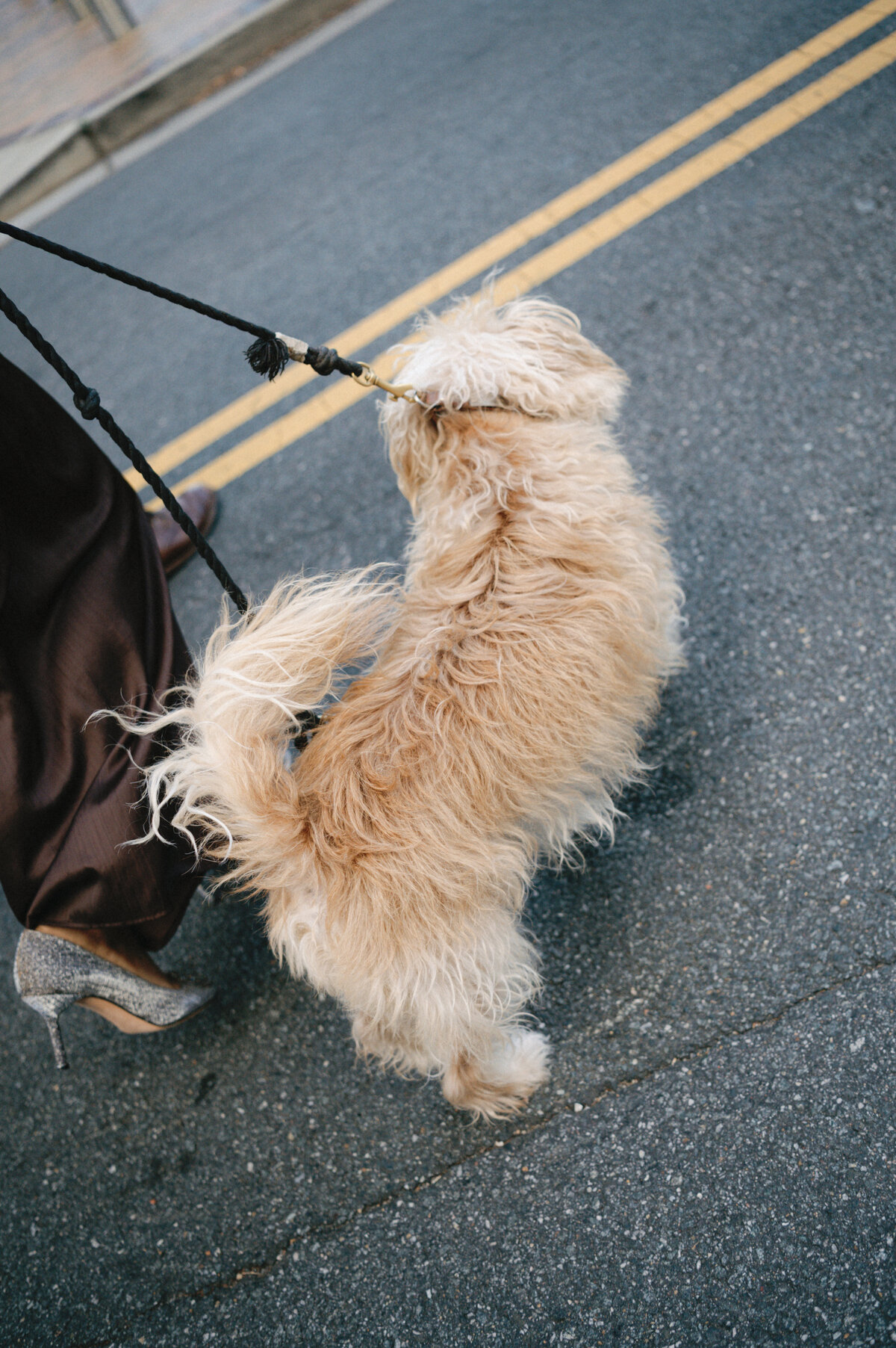 AllyandRich-Engagement-SneakPeek-KAP-24