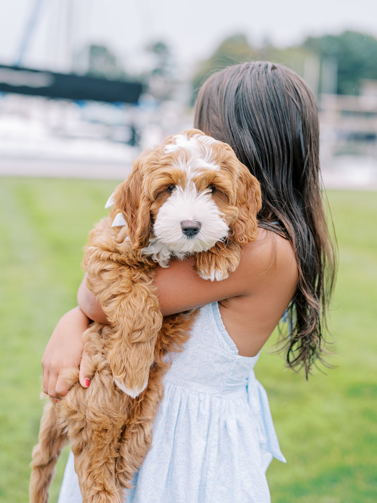 Holland Family Photographer-107