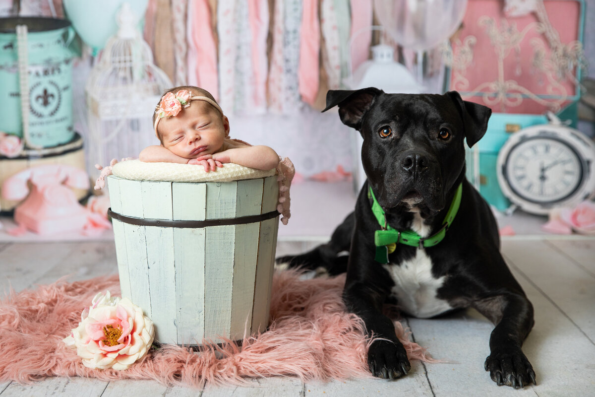 newborn-photography-prophotobymk_studio-088