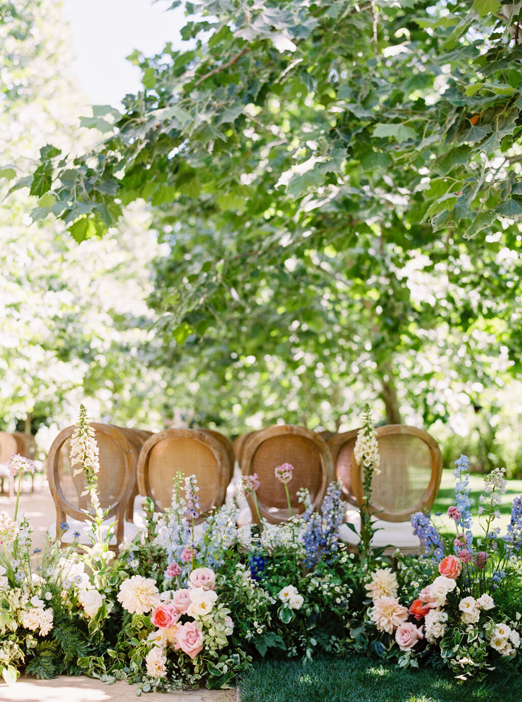 Kelly_Oliver_0065