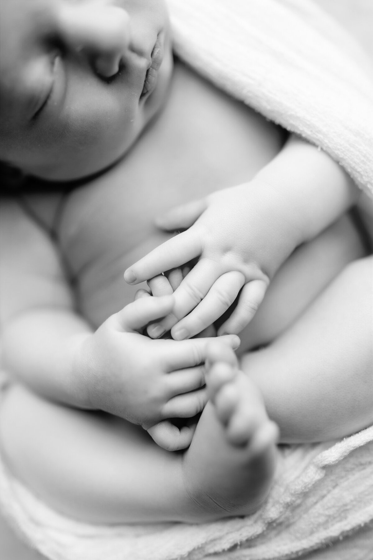 best NWA newborn portraits, newborn photoshoot near me, Northwest Arkansas newborn portrait studio, best NWA baby photographer