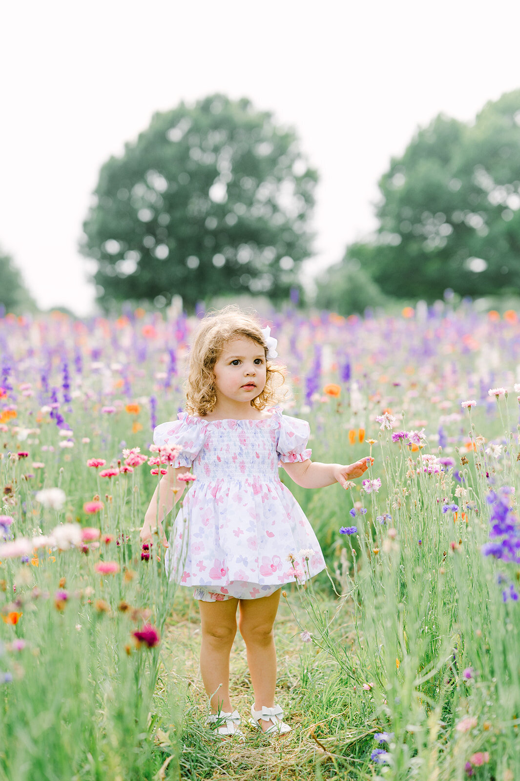 dallas-wildflower-photography-23