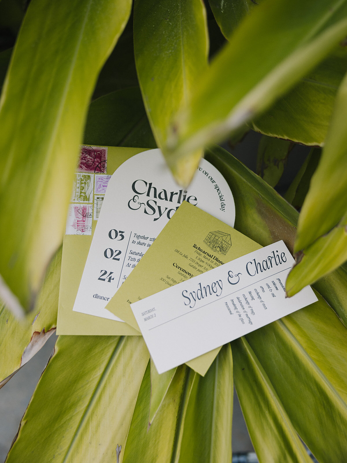 san-diego-botanic-garden-wedding-photographer-4086