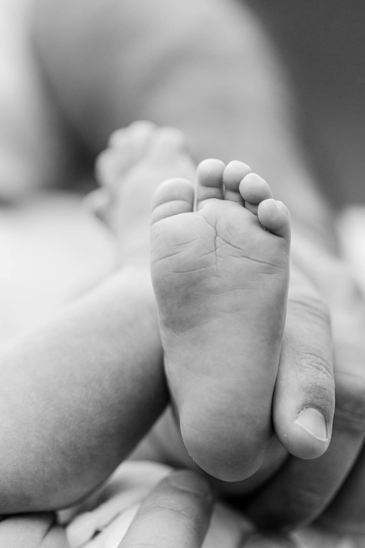 princeton-nj-newborn-photography-kate-voda-photography__0016