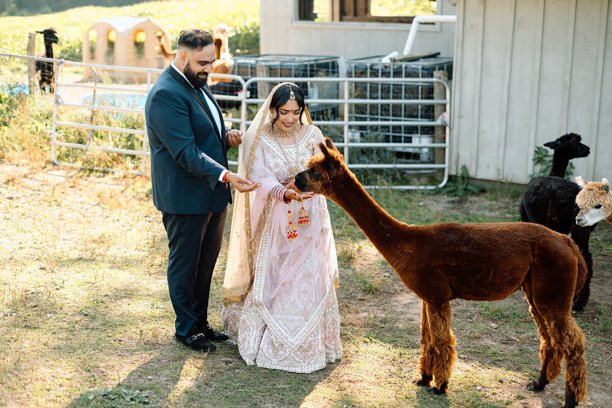 cape-breton-wedding-photographer-59