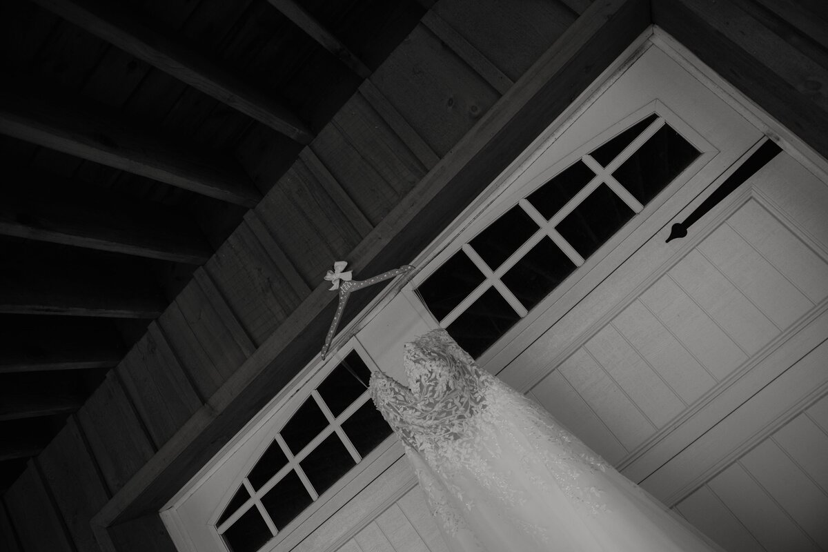 mid-michigan-wedding-and-lifestyle-photographer585A6022