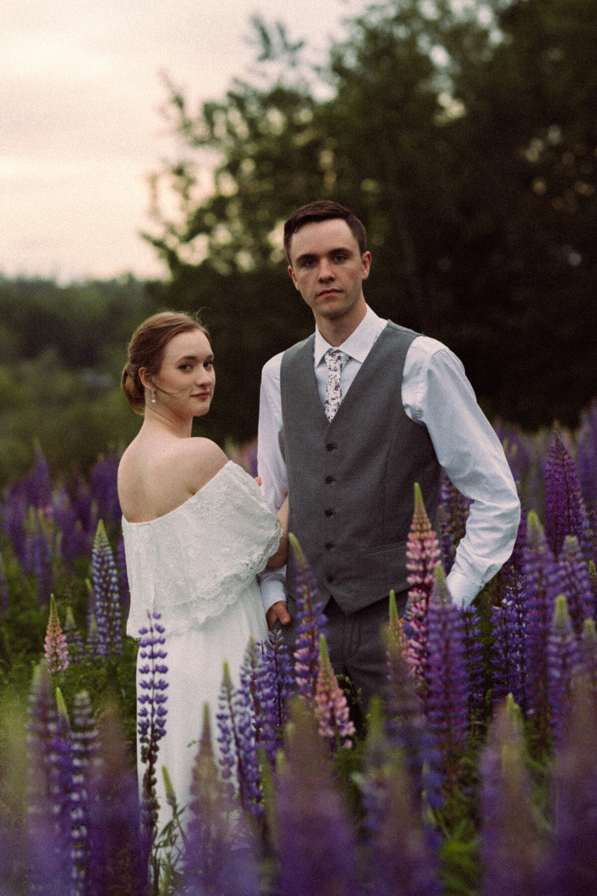 Viewing Lupines in Maine